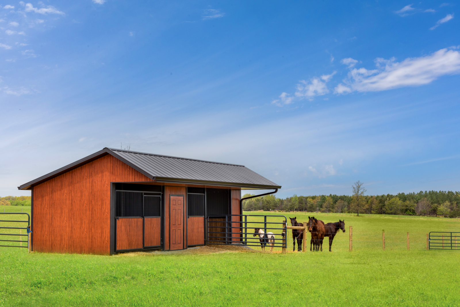 PermaGuard Siding A PicturePerfect Exterior for Your Riding Arena